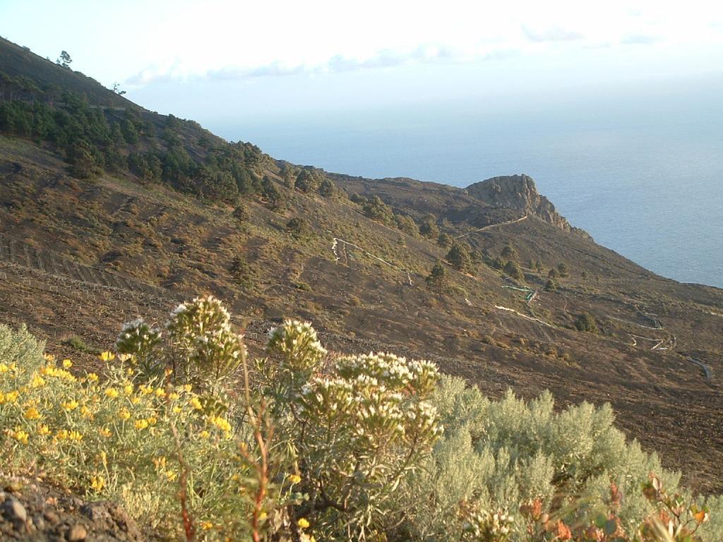 Casa Los Vinedos A Fuencaliente de la Palma Eksteriør bilde